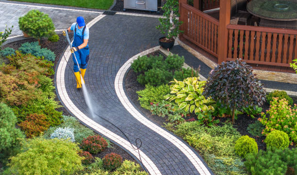 Best Concrete Pressure Washing  in Hampton, AR