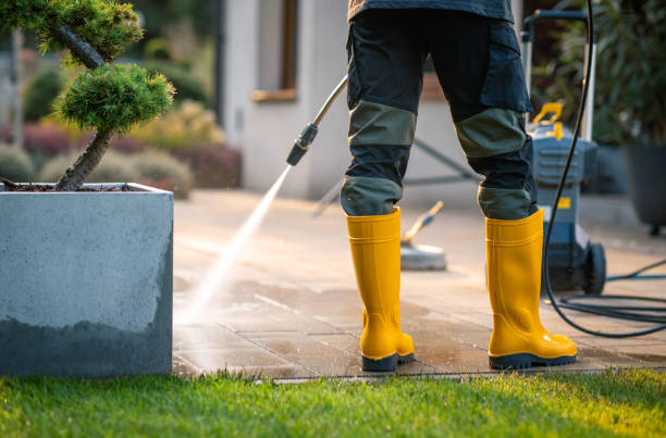 Best Pressure Washing Near Me  in Hampton, AR